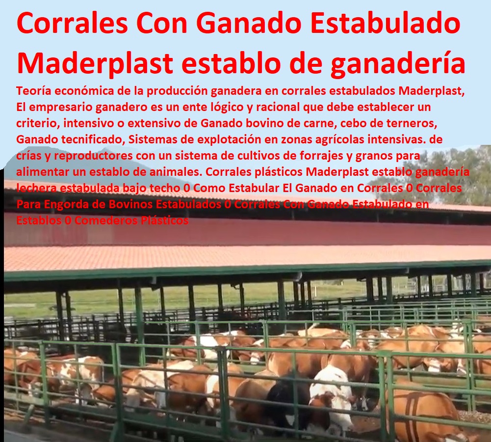 Corrales plásticos Maderplast establo ganadería lechera estabulada bajo techo 0 Como Estabular El Ganado en Corrales 0 Corrales Para Engorda de Bovinos Estabulados 0 Corrales Con Ganado Estabulado en Establos 0 Ganaderías Tecnificadas, Explotación Ganadera Automatizada, Sistemas de Pastoreo, Estabulación de Ganado, Pastoreo Intensivo, Establos, Corrales, Saladeros, Comederos, Cerramientos, Postes, Comederos Plásticos Corrales plásticos Maderplast establo ganadería lechera estabulada bajo techo 0 Como Estabular El Ganado en Corrales 0 Corrales Para Engorda de Bovinos Estabulados 0 Corrales Con Ganado Estabulado en Establos 0 Comederos Plásticos